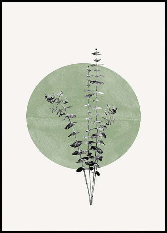 Nature&#039;s Echo Plakat