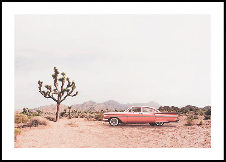 In the desert Plakat