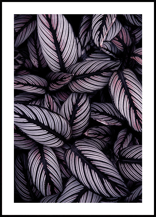 Purple Leaves Plakat