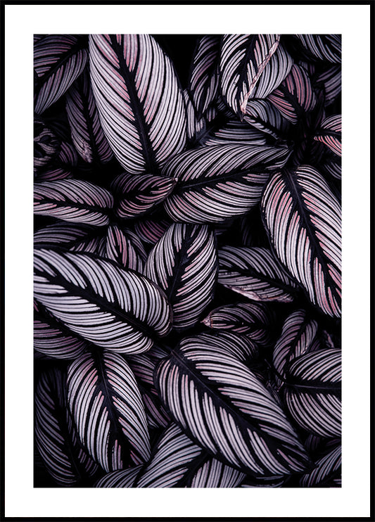 Purple Leaves Plakat