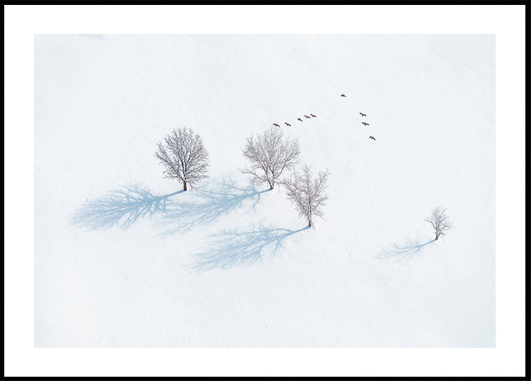 Trees and Birds Plakat