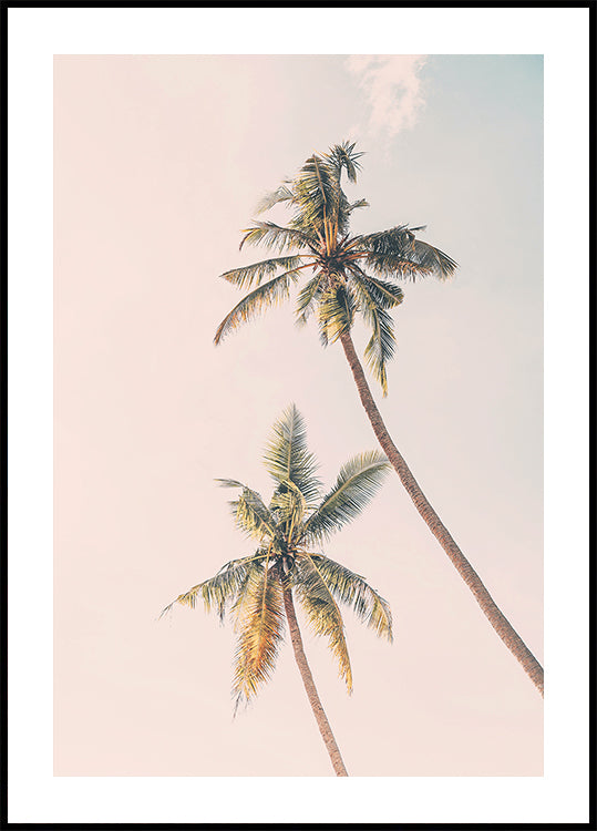 Tropical Palms Plakat
