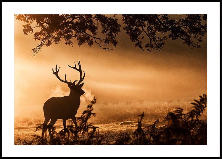 Red Deer Stag in the Mist Plakat