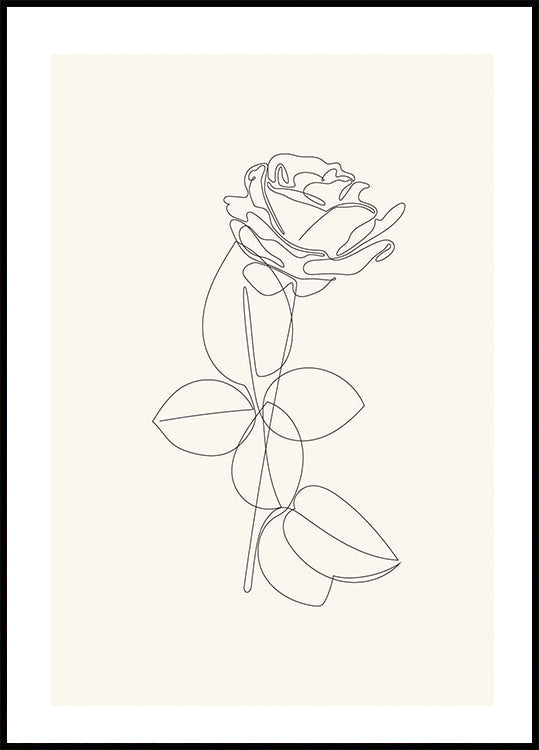 Line Art Rose Plakat - Posterbox.dk