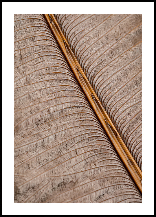Feather_007 Plakat