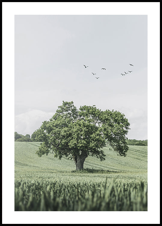 Green Tree In The Field Plakat - Posterbox.dk