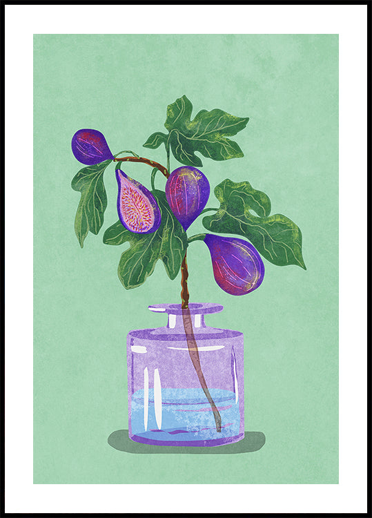 Figs Branch In Vase Plakat