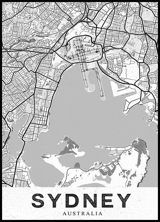 Sydney White Plakat