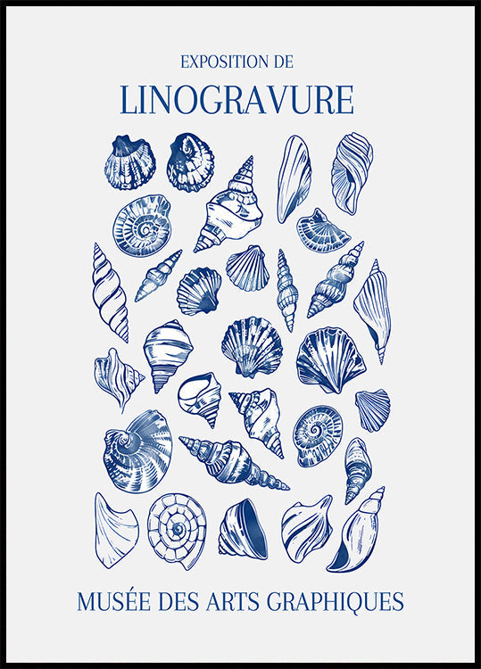 Lino Seashell Art Market