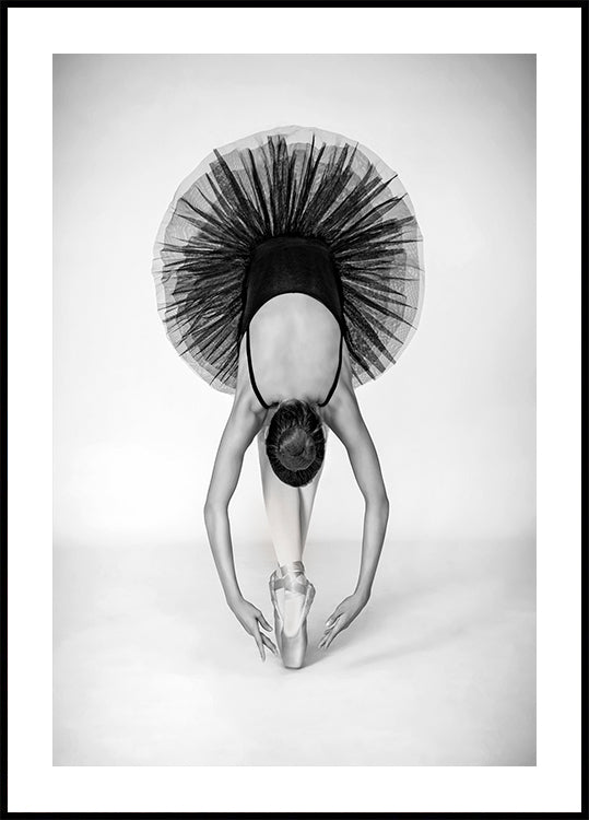 Ballet Technique Plakat