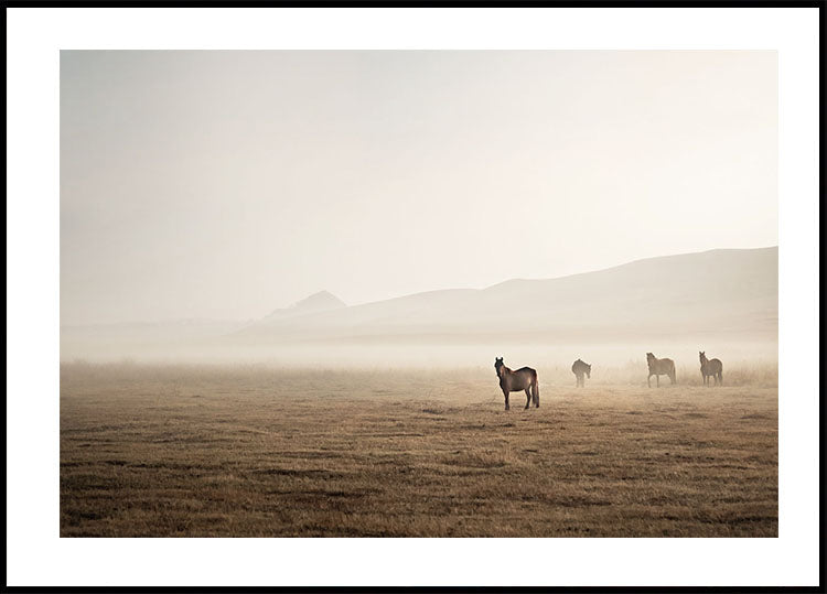 Horses in The Fog Plakat - Posterbox.dk