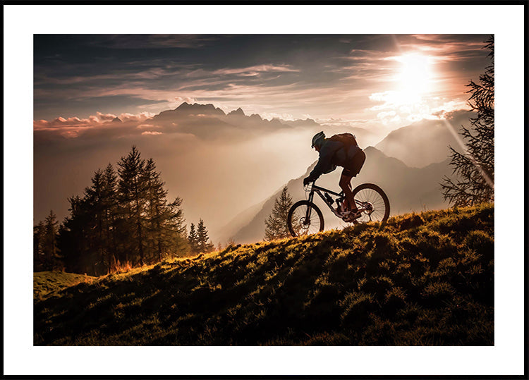 Golden hour biking Plakat