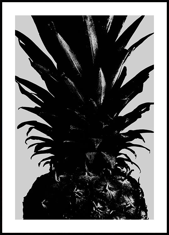 Pineapple bw
