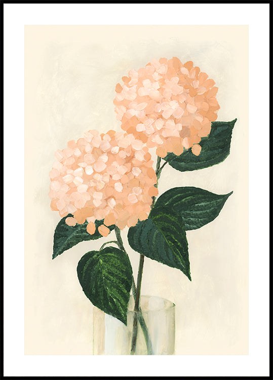 Coral hydrangeas in a vase
