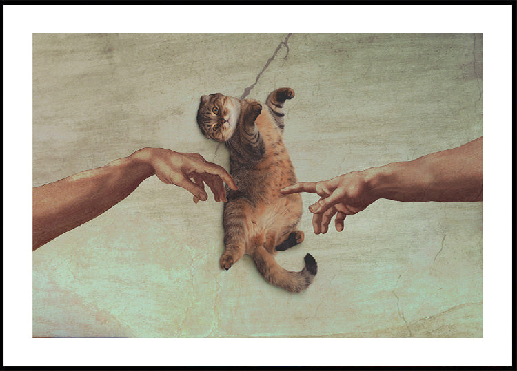 Touch of the Kitty Plakat