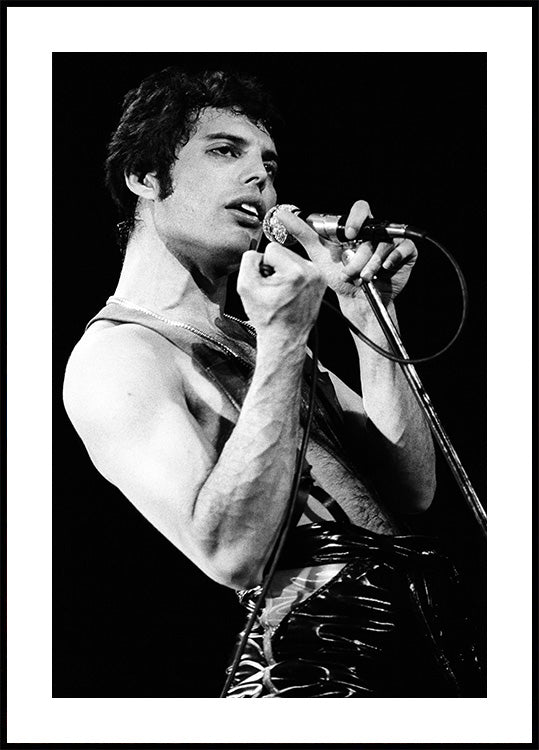 Freddie Mercury Hand Plakat - Posterbox.dk