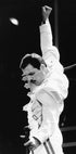 Freddie Mercury Live Hand Up Plakat - Posterbox.dk