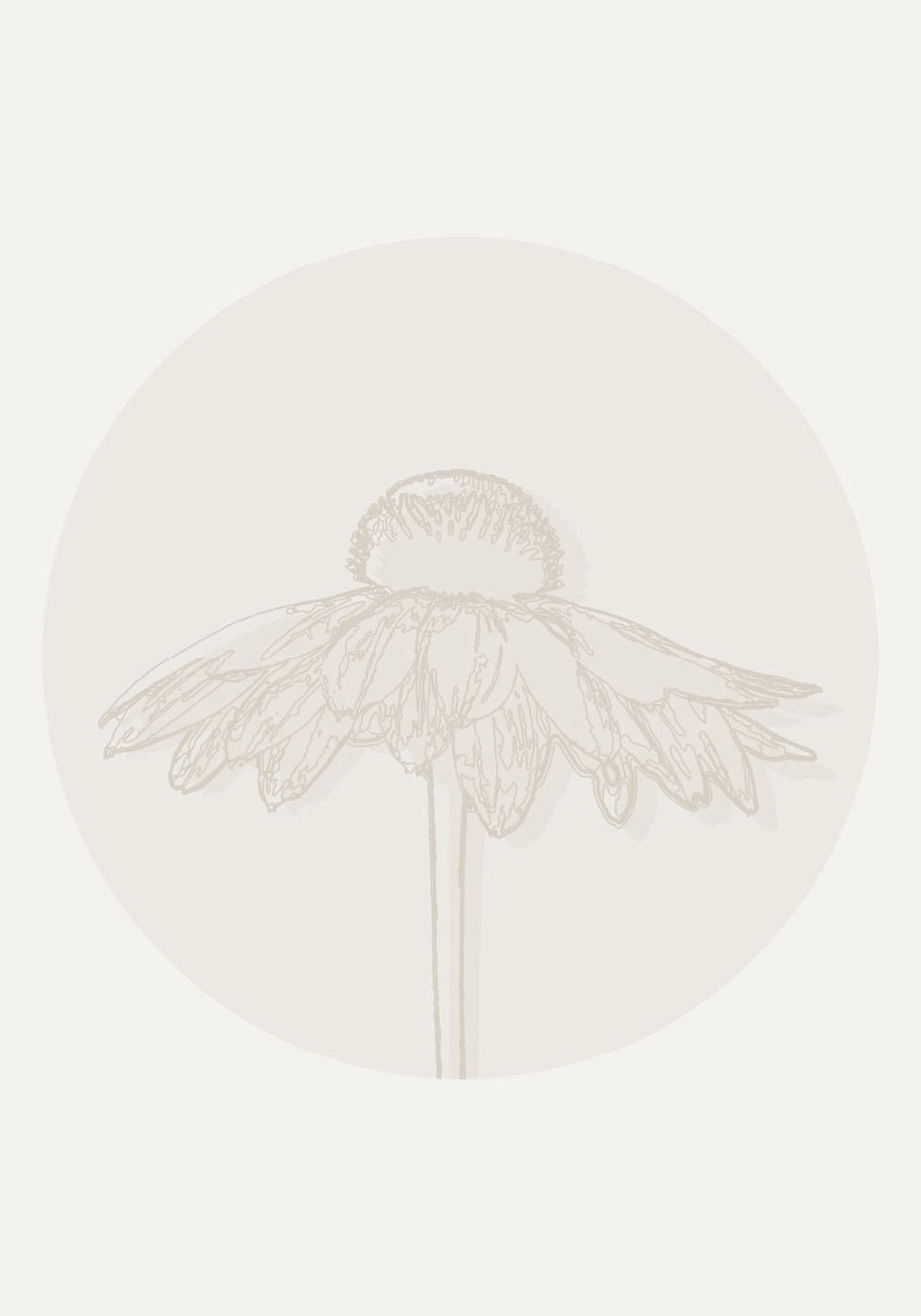 Gaillardia Bloom, Botanical Line Art Plakat