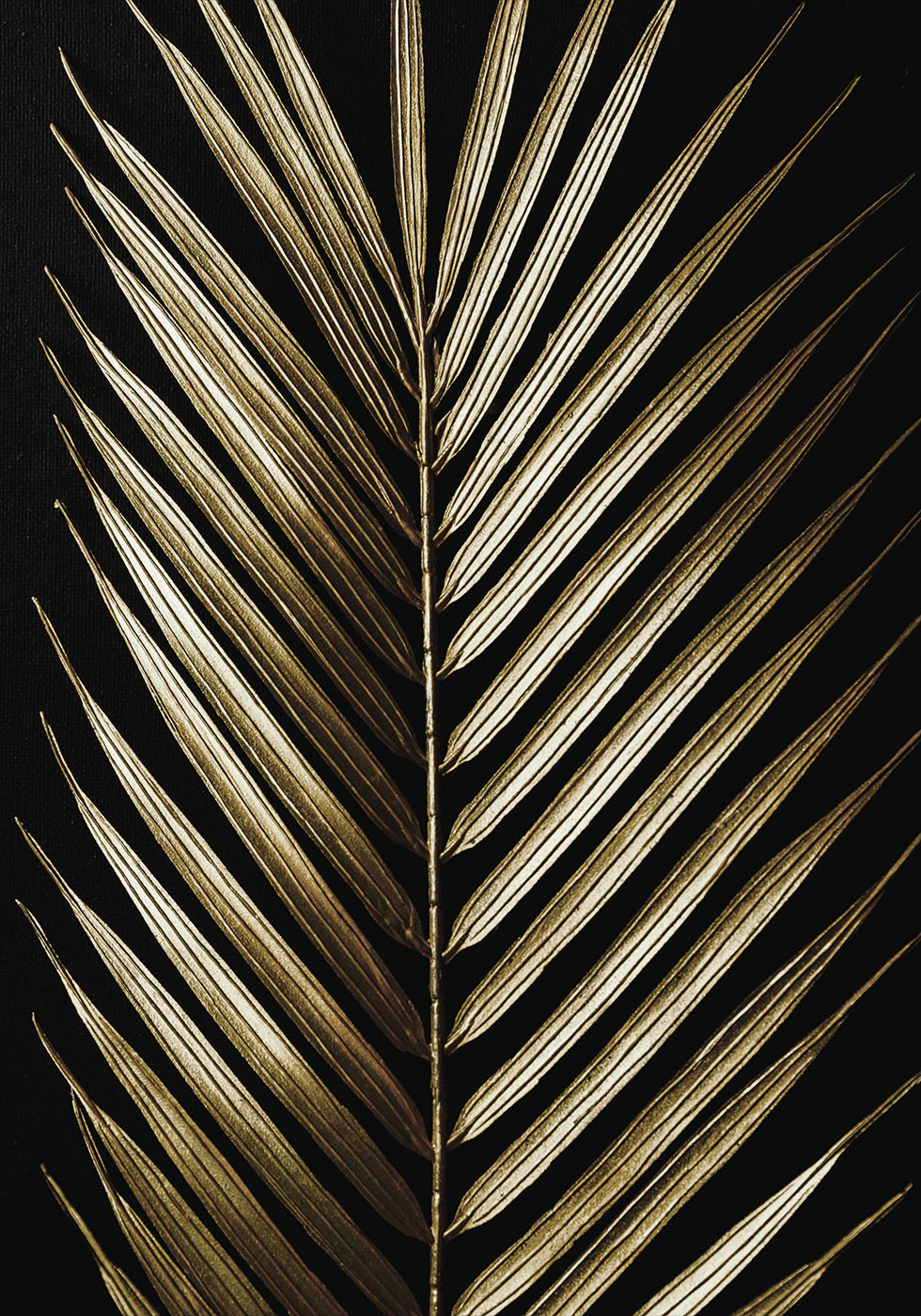 Golden Palm Leaf №2 Plakat