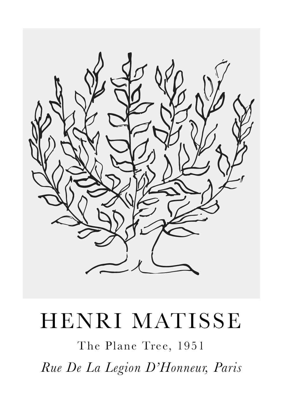 H. Matisse The Plane Tree Plakat