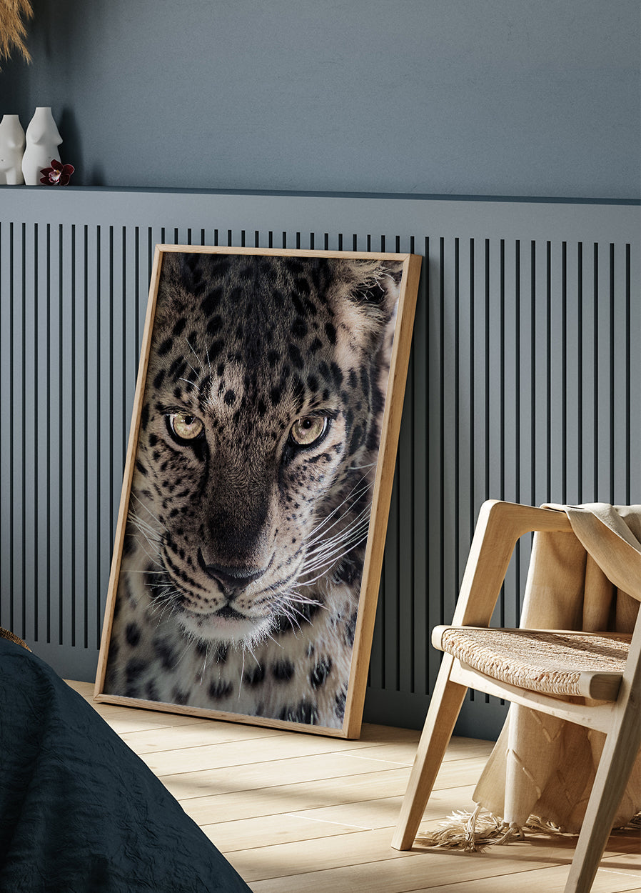Leopard Plakat - Posterbox.dk