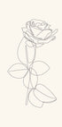 Line Art Rose Plakat - Posterbox.dk