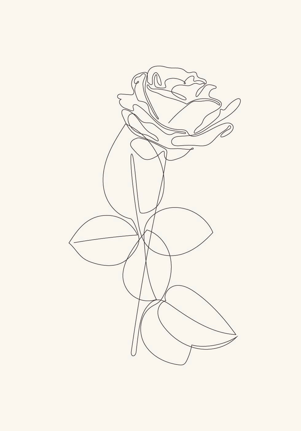 Line Art Rose Plakat - Posterbox.dk