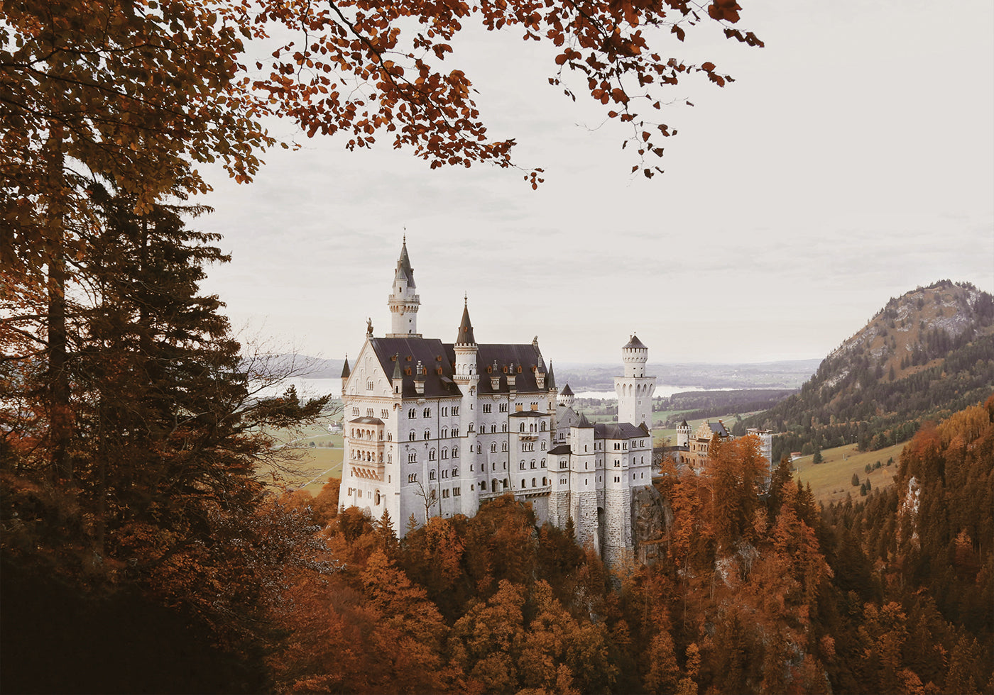 Neuschwanstein Castle in Autumn Plakat