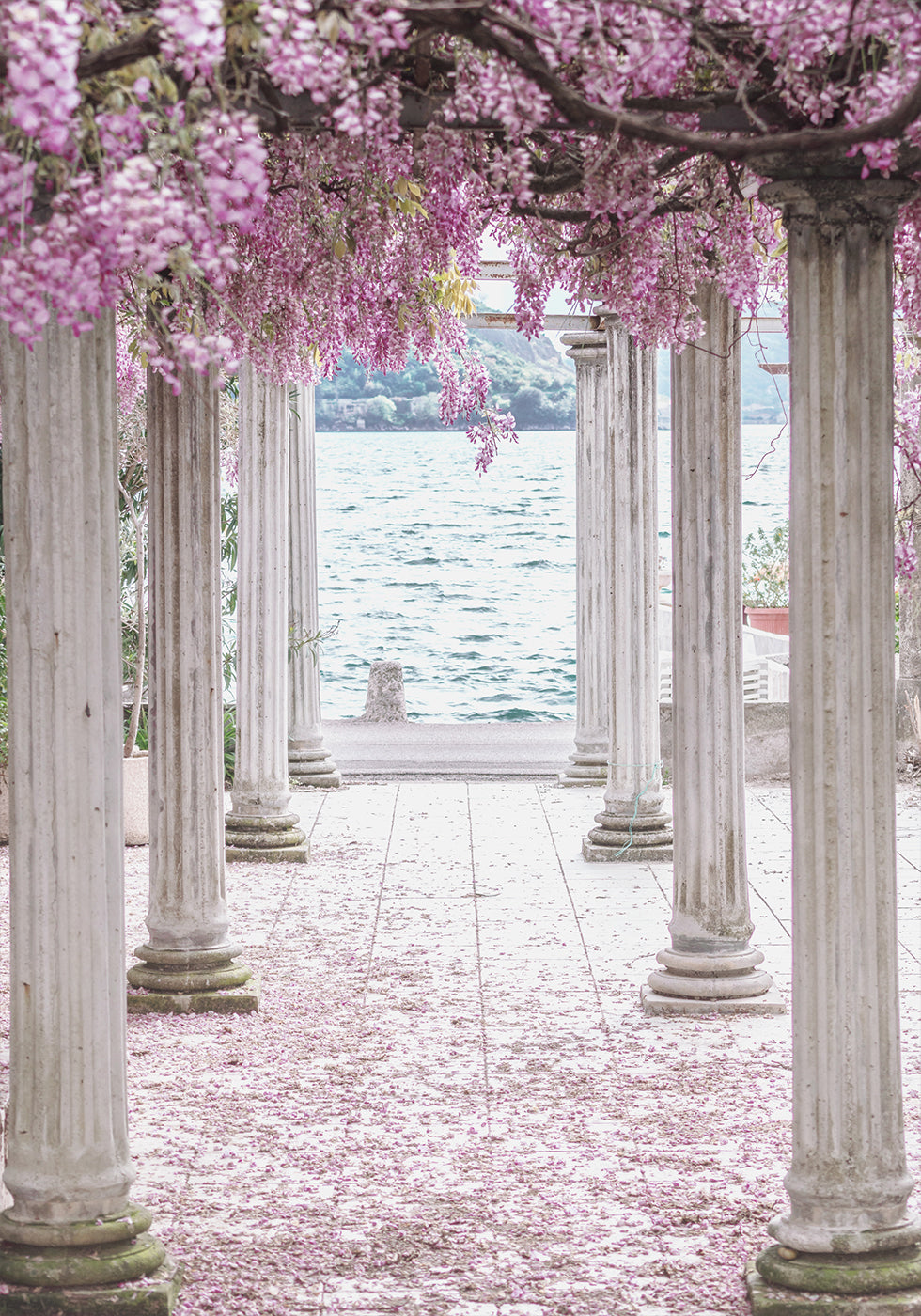 Pillars and Wisteria Flowers Plakat