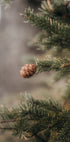 Pine Cones Plakat - Posterbox.dk