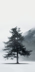 Lone Pine Tree in Foggy Field Plakat - Posterbox.dk