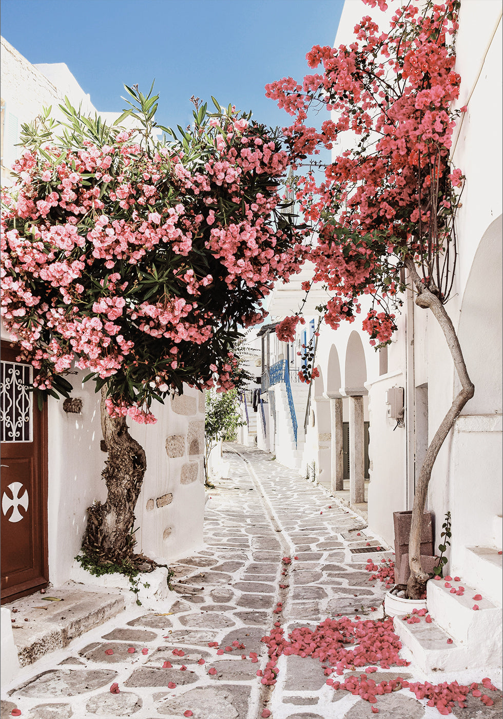 Pink Flower Trees in a Picturesque Alley Plakat