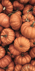 Warm Autumn Pumpkins Plakat - Posterbox.dk