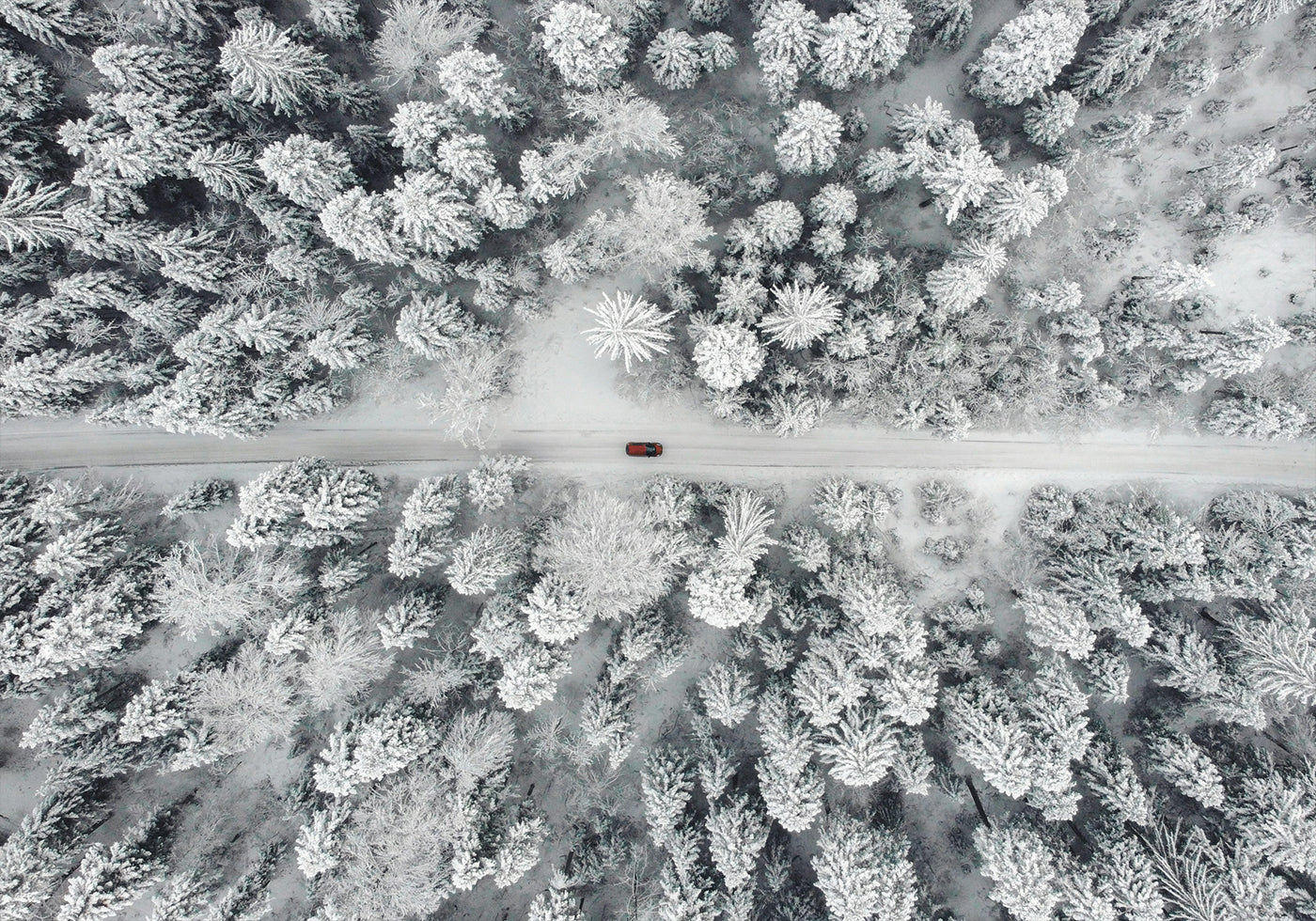 Red Car Driving Through Snowy Forest Plakat