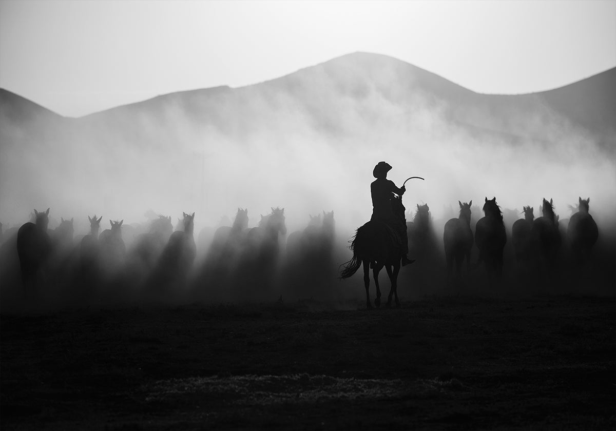 Chasing the Jades! Plakat