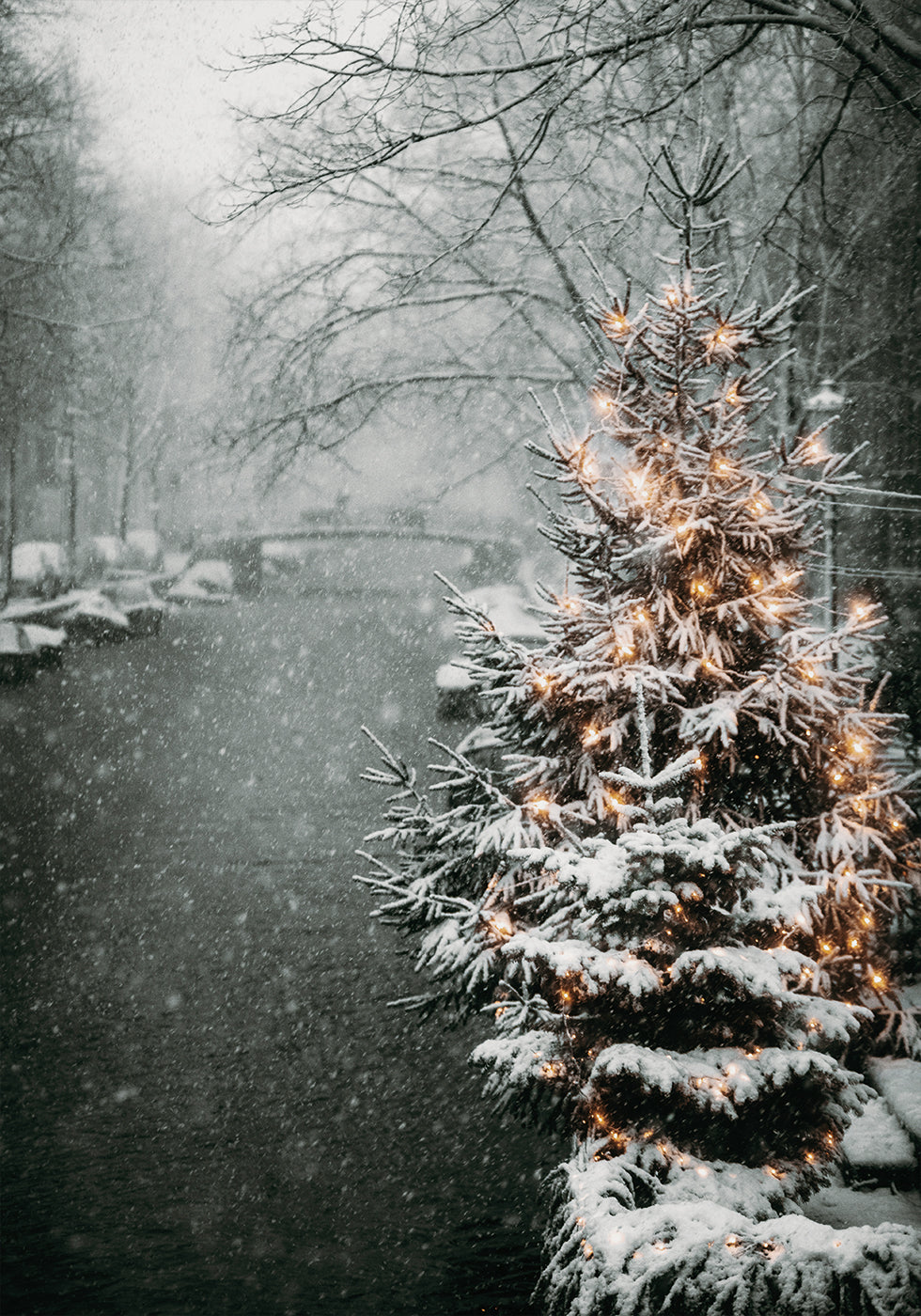 Christmas Tree by Snowy Canal Plakat