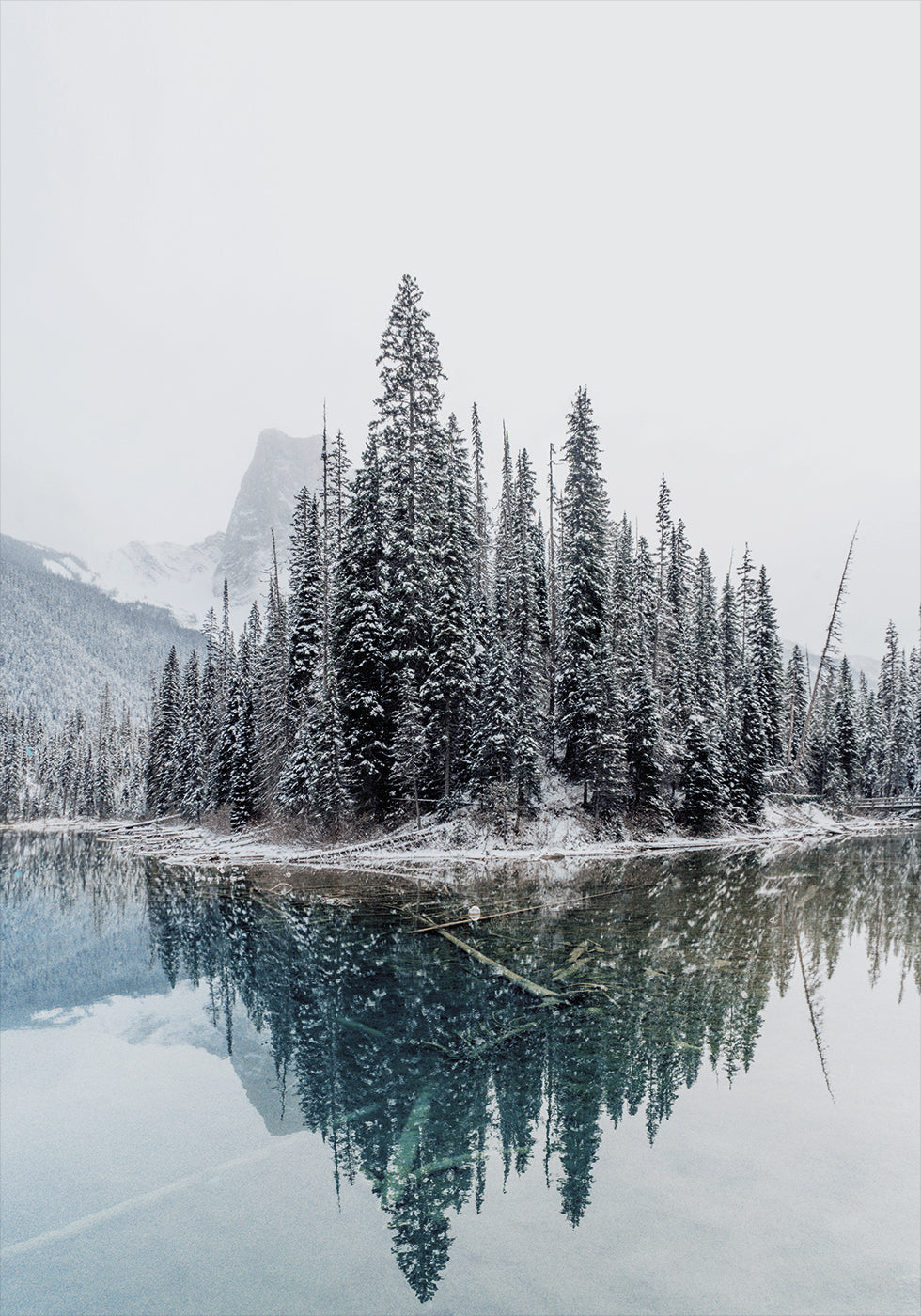 Snowy Trees Near Lake Plakat