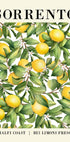 Sorrento Lemon Plakat - Posterbox.no