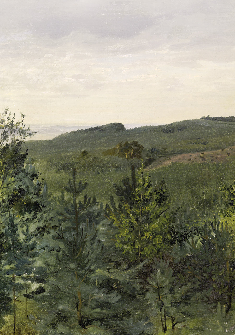 Spruce Saplings in Sandy Soil Study By Werner Holmberg Plakat - Posterbox.dk