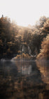Sunrise in the Misty Forest with Reflections Plakat - Posterbox.dk