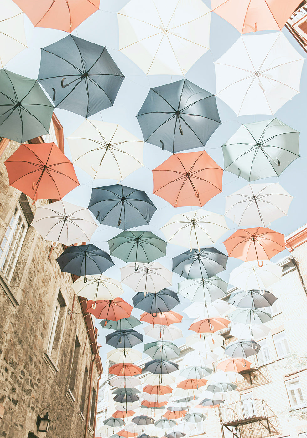 Umbrellas Plakat - Posterbox.dk