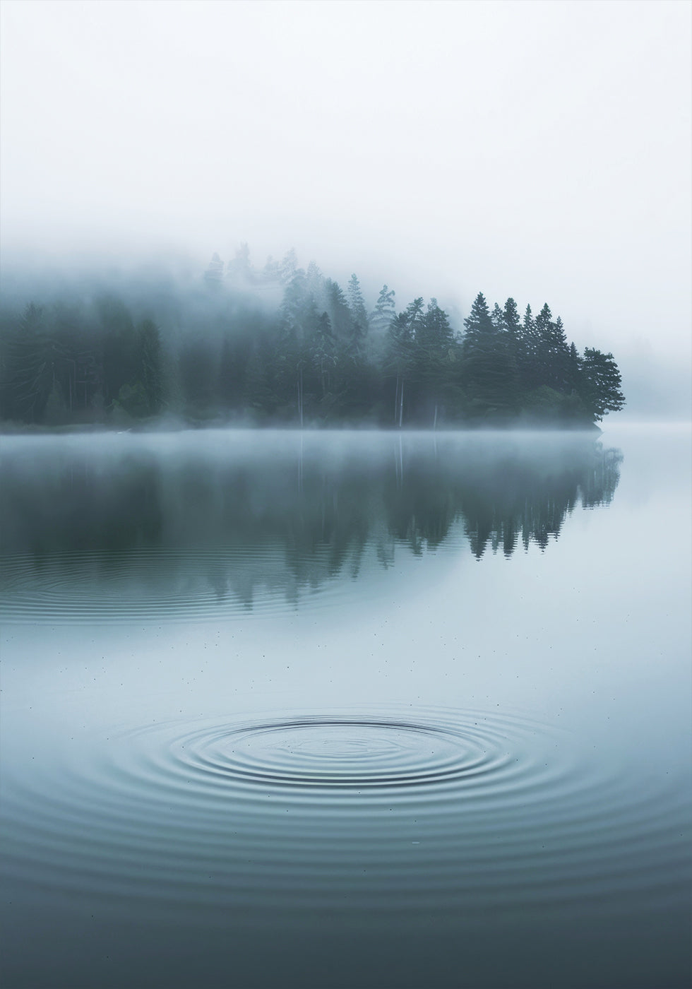 Water Ripples and Foggy Forest Plakat