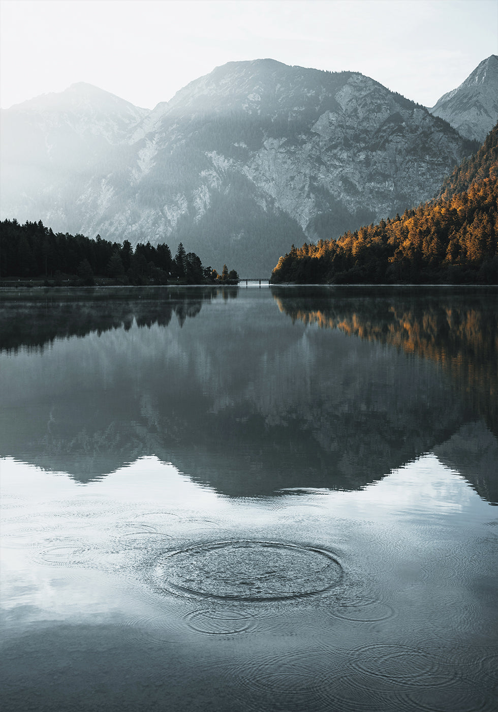 Water Ripples in the lake Plakat