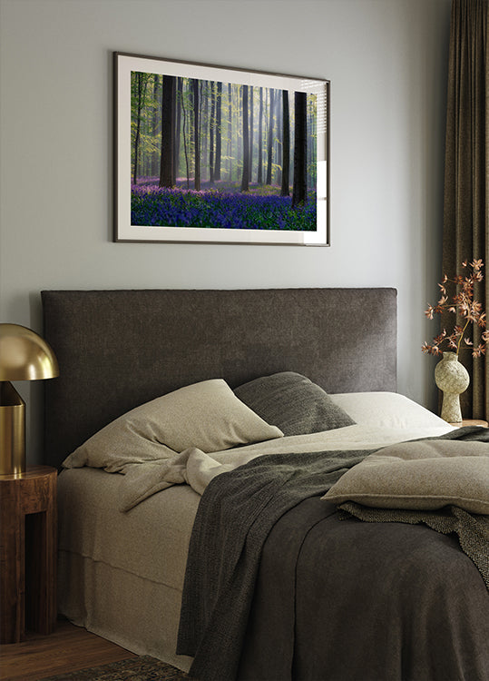 Bluebells Plakat - Posterbox