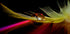 Colors in the drop - Posterbox