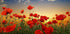 Poppies Plakat - Posterbox