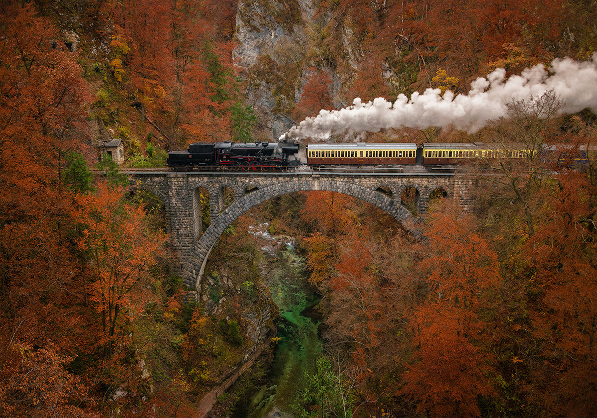 Museum train Plakat - Posterbox