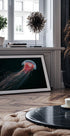 Longtail - Posterbox