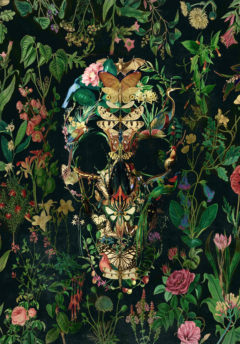 Papillon Skull - Posterbox