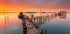 The last... Light - Posterbox
